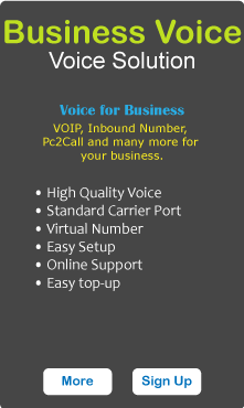 Business Voice